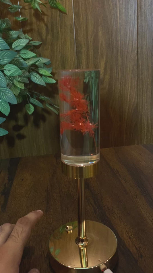 Rechargeable Crystal Aquarium Lamp