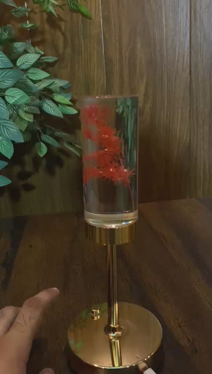 Rechargeable crystal Aquarium Lamp